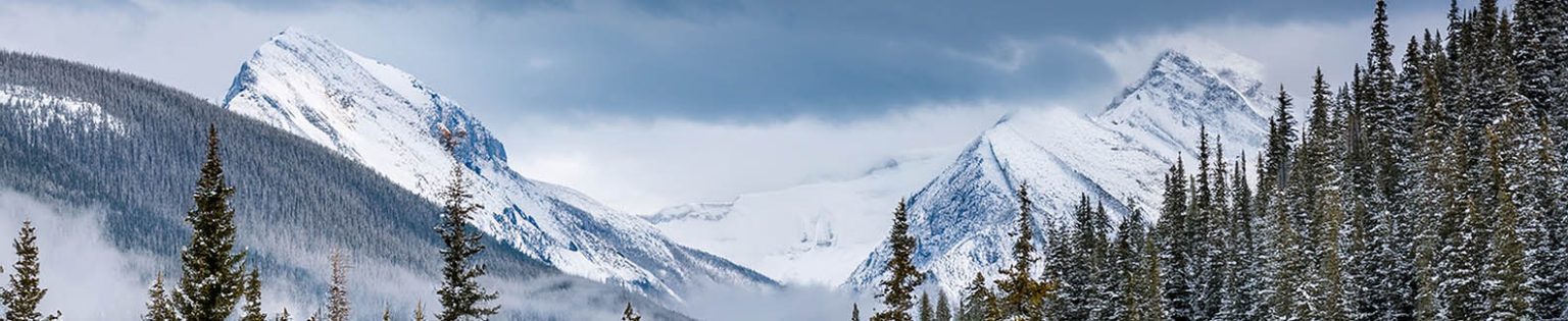 Canada Winter Scene with Mountains and Trees